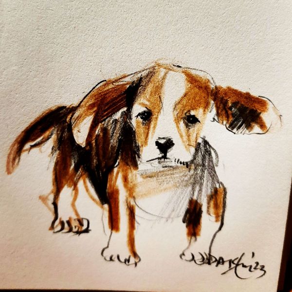 Small Puppy, from my sketchbook