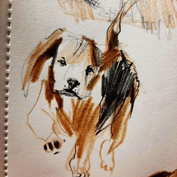 Small Puppy II/ sketchbook