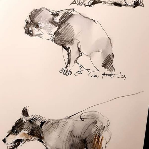 Three Dogs, from Small sketchbook